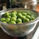 수두농장 이미지