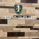 레알스크린골프 이미지