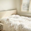 스테이 고집 이미지