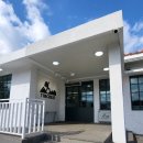 제주동쪽목장 카페 아침미소목장 실제 소 퇴근길 구경후기