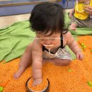 동화촉감놀이 당나귀똥 6-10개월 | 청량리 롯데문화센터 동화촉감놀이 당나귀똥 여름학기 10개월 아기 후기