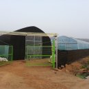 대주 농장 이미지