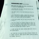 야옹아멍멍해봐 이미지