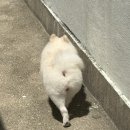 이마트24 부산개금점 | 부산 개금 헬스 어스필라테스 진짜 미쳤음 후기 N차🔥앞으로 차차차 꾸준히