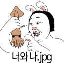 회떠주는집