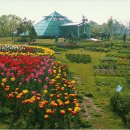 일자산자연공원(허브천문공원) 이미지