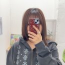 엠디스트 이미지