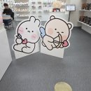 와이페이지(YPAGE) 이미지