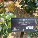 곡성-182 Daum카페
