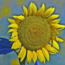 단원구청 이미지