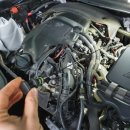 오토오아시스 롯데마트 동래점 이미지