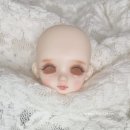 유)파파야 이미지