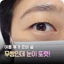 크린토피아동구 - 동구 증산로 1 | 계림동 속눈썹펌 단비뷰티, 여름휴가 전에 받고 오길 잘했어요