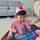 행복한 꼬마 거북이 이미지