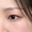 피치비치 | 루미르 선라이즈피치 로사비치 내돈내산 후기