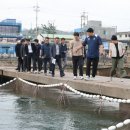 장기낚시터 이미지