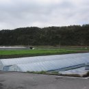 신등면사무소 이미지