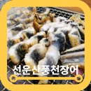 고양 장어 맛집 선운산고양풍천장어 59000원 솔직후기