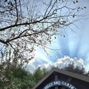 아나힐즈 이미지