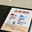 [대전 둔산동미용실] 소호헤어 5호점