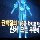 심혈관질환,파프리카/천기누설/온라인수련/기수련/기치유/자연요법 이미지