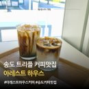 트리플컴퍼니 | 송도 트리플 카페 아레스트하우스 솔직후기ㅣ분위기 좋은 커피맛집