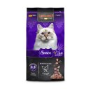 레오나르도 이미지