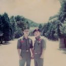 회귀(回歸) 이미지