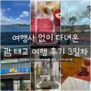 2024,04 괌 태교 여행 후기 _ 3. 괌조아닷컴돌핀크루즈, 괌해피렌트카, 벤앤얀스, 마이크로네시아몰...