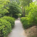 잠실파크리오아파트앞 이미지