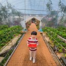 신상농장 2 이미지