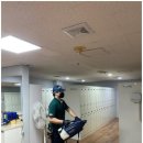 서부위생방역