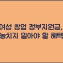 정부지원금