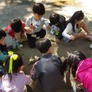 한울초병설유치원 이미지