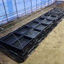 강선목장 이미지