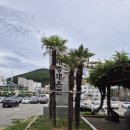 건강탕 | 태종대온천찜질방 내돈내산 솔직후기