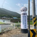 코코블리 애견운동장 이미지