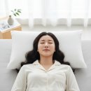 아이유 베개로 유명한 슬립앤슬립 깊은잠베개 사용 후기 &amp; 숙면 효과
