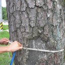 한산마을 이미지