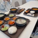춘천유도관 | 용인대총장기 카타대회 다녀왔습니다.