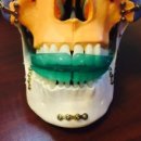 명인치과병원 이미지