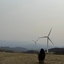 세븐일레븐평창점 | 2025. 04 이른 봄의 선자령 백패킹