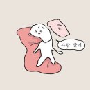 이쁘게 잘라줄개 | 개강 2주 차 실사용 후기입니다~