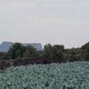 성산별장 네이버블로그