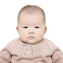 몽그라피 | 서판교 아기 증명사진 잘 찍는 곳, 몽그라피에서 남긴 '엄근진' 여권사진 증명사진