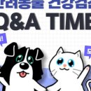 원주24시스카이동물메디컬센터 이미지