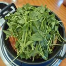 등촌샤브칼국수신방점 이미지