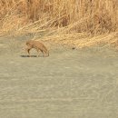 사격장앞 이미지
