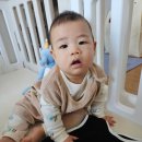 편안한 수면센터 | 알파베베 유령조끼 7개월 아기 수면조끼 사이즈 비교 후기