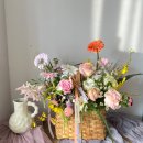 사파동242 이미지